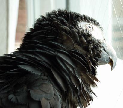 2009-0831-6-1.jpg