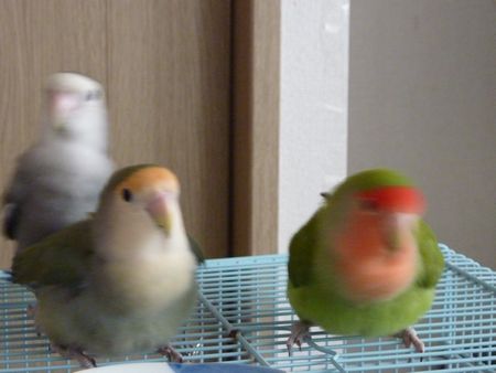 2009-0902-2.JPG