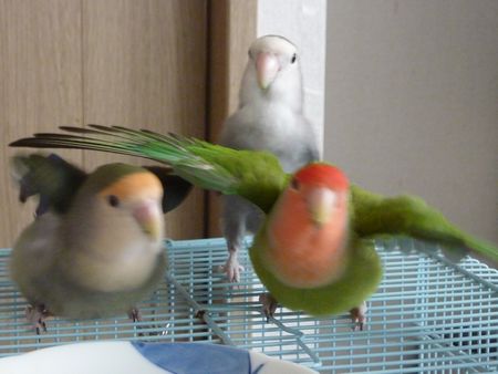 2009-0902-3.JPG