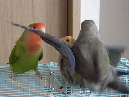 2009-0902-5.JPG
