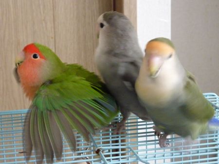 2009-0902-6.JPG