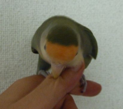 2009-0902-8.JPG