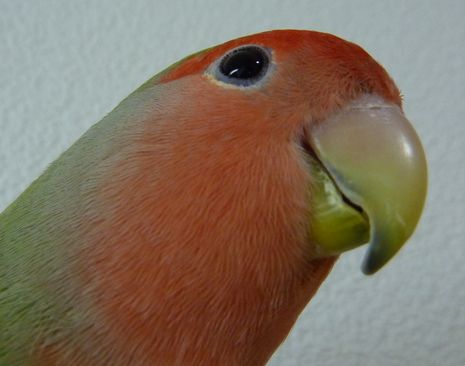 2009-0904-4.JPG