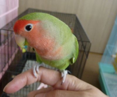 2009-0908-3.JPG