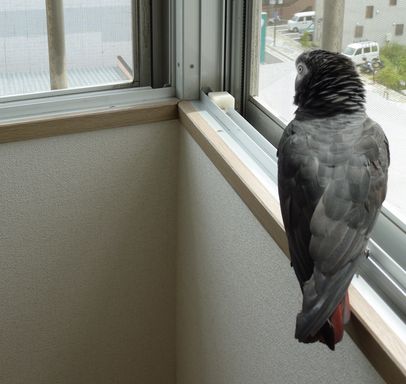 2009-0910-2.JPG