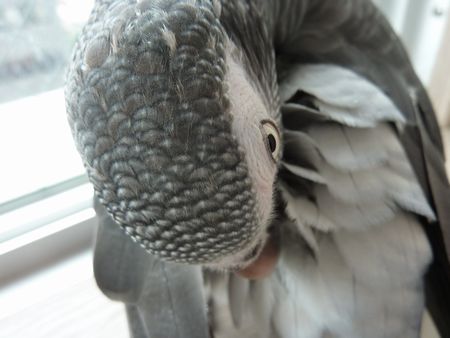 2009-0910-3.JPG