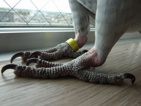 2009-0910-4.JPG