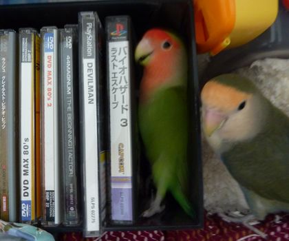 2009-0912-1.JPG
