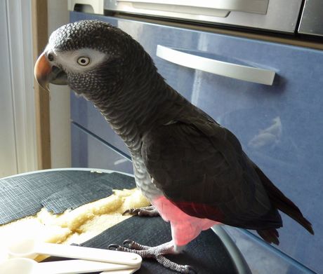 2009-0914-2.JPG