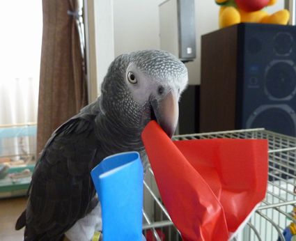 2009-0914-4.JPG