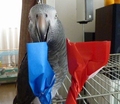 2009-0914-5.JPG