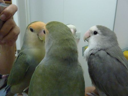 2009-0916-2.JPG
