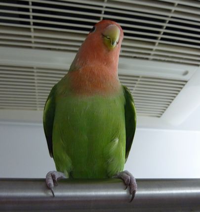 2009-0916-3.JPG