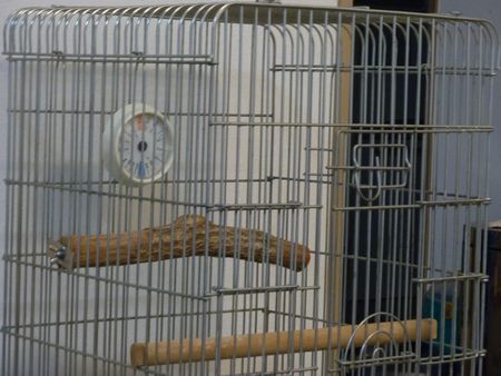 2009-0918-3.JPG