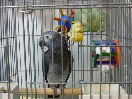 2009-0918-4.JPG