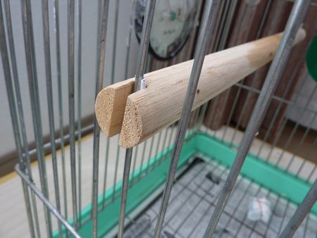 2009-0926-1.JPG