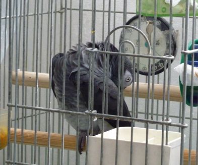 2009-0926-2.JPG