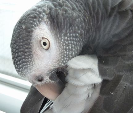2009-0926-5.JPG