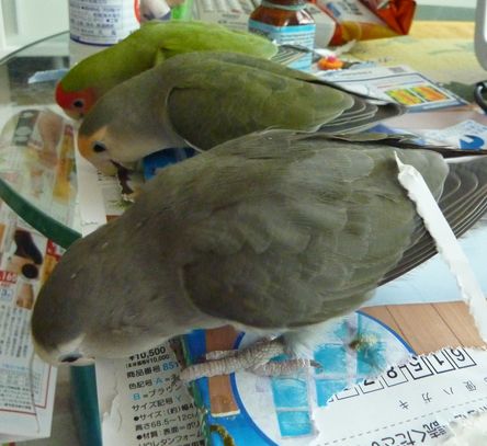 2009-0930-1.JPG