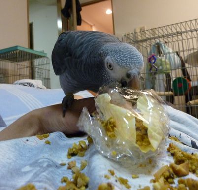 2009-0930-3.JPG