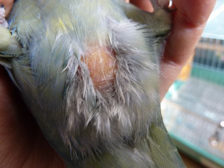 2009-1117-4.JPG