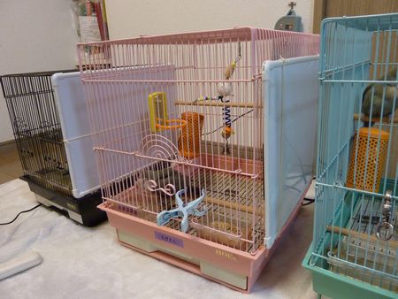 2009-1117-7.JPG