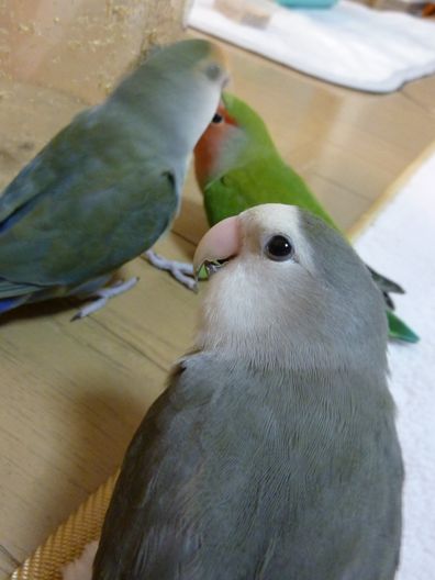 2009-1206-0.JPG