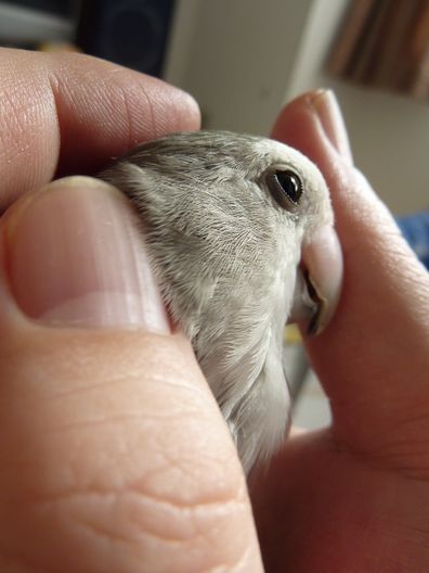 2009-1206-7.JPG