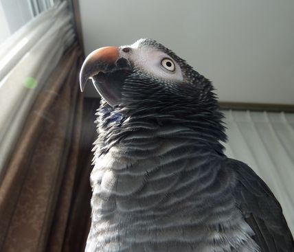 2009-1210-2.JPG