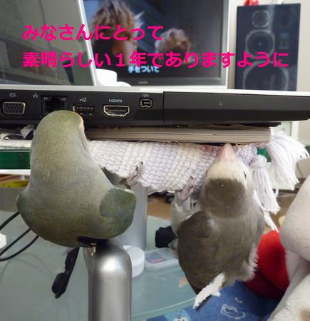 2010-0101-2.JPG