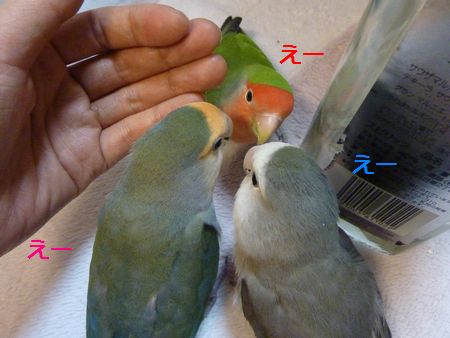 2010-0101-4.JPG