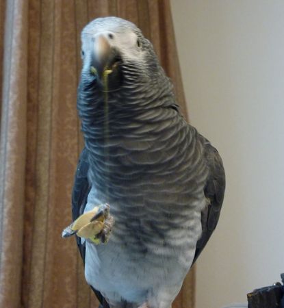 2010-0104-4.JPG