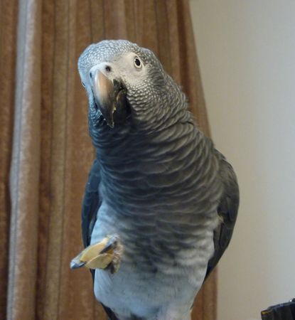 2010-0104-5.JPG