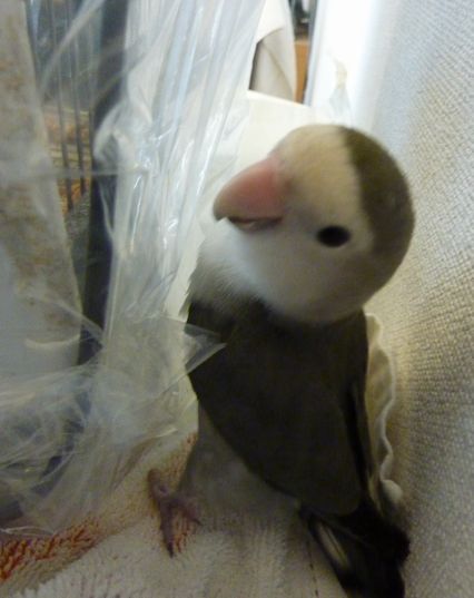 2010-0115-3.JPG