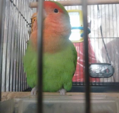2010-0120-4.JPG