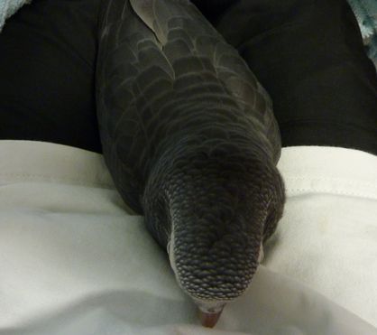 2010-0124-4.JPG