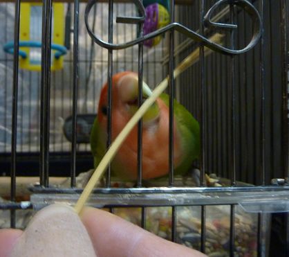 2010-0125-4.JPG