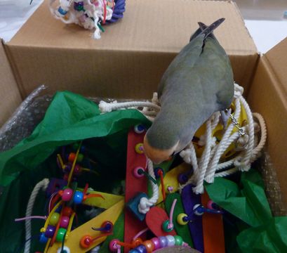 2010-0128-3.JPG