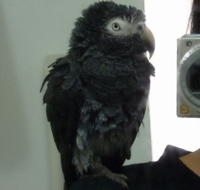 2010-0131-2.JPG