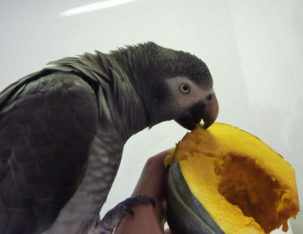 2010-0131-4.JPG