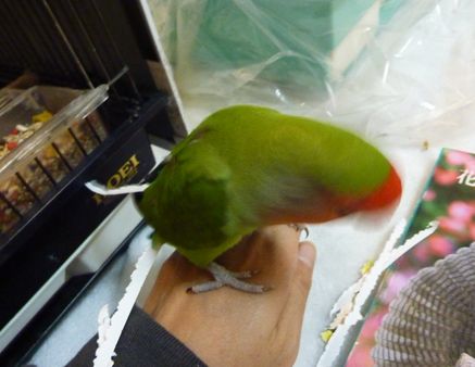 2010-0201-1.JPG