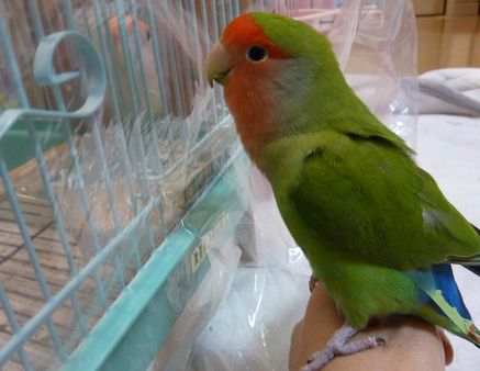 2010-0201-3.JPG