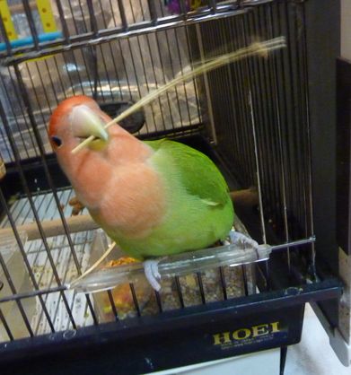 2010-0203-1.JPG