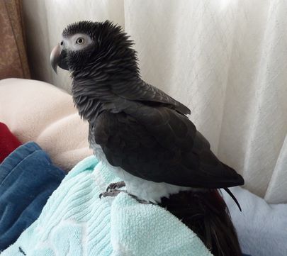 2010-0206-5.JPG