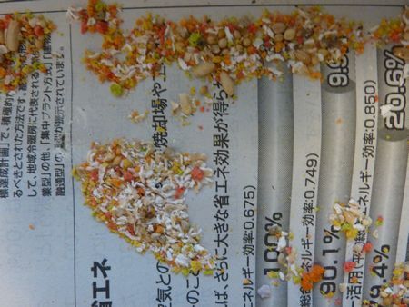 2010-0208-2.JPG