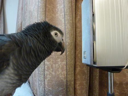 2010-0210-2.JPG