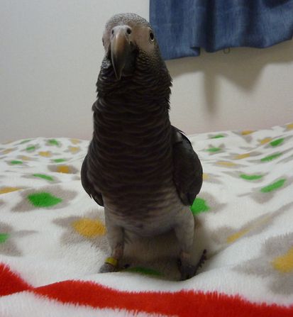 2010-0210-5.JPG