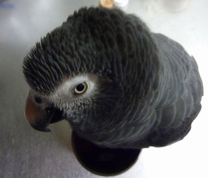 2010-0215-4.JPG