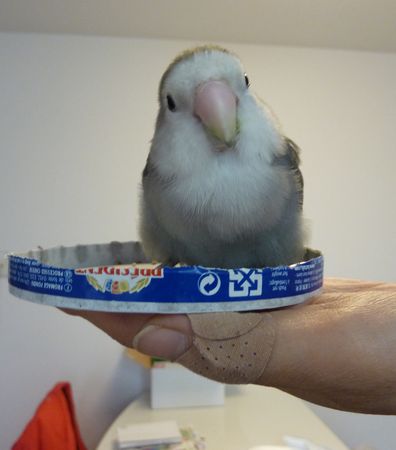 2010-0217-1.JPG
