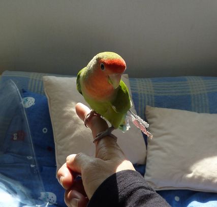 2010-0224-4.JPG